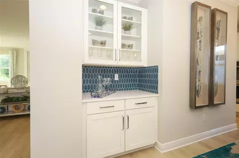 Other - 5288 Obsidian Gate Dr, Mount Dora, FL 32757 photo 2 of 16