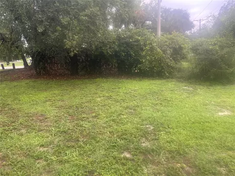 33855 Mandrake Rd, Wesley Chapel, FL 33543