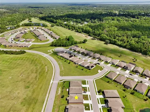 View/Area - 3020 Burrowing Owl Dr, Mims, FL 32754 photo 17 of 23