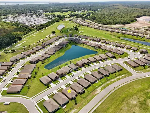 View/Area - 3020 Burrowing Owl Dr, Mims, FL 32754 photo 14 of 23