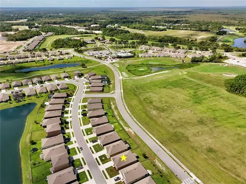 View/Area - 3020 Burrowing Owl Dr, Mims, FL 32754 photo 12 of 23