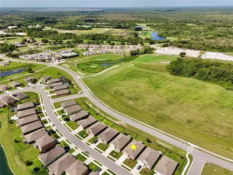 View/Area - 3020 Burrowing Owl Dr, Mims, FL 32754 photo 11 of 23