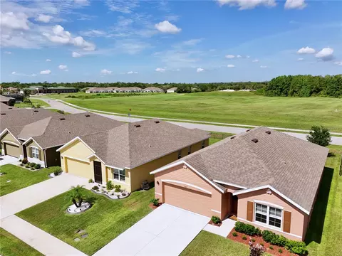 View/Area - 3020 Burrowing Owl Dr, Mims, FL 32754 photo 3 of 23