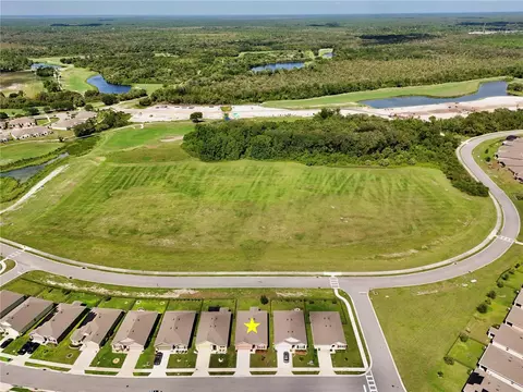 View/Area - 3020 Burrowing Owl Dr, Mims, FL 32754 photo 10 of 23