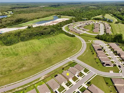 View/Area - 3020 Burrowing Owl Dr, Mims, FL 32754 photo 18 of 23