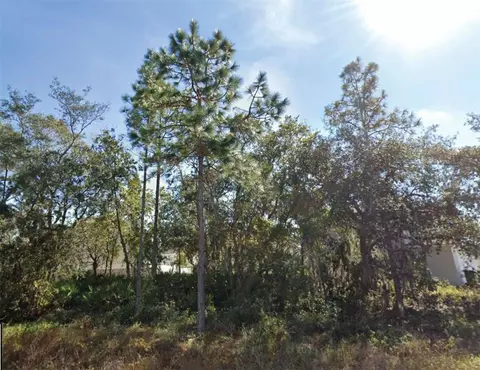 1626 Pilchard Ct, Poinciana, FL 34759