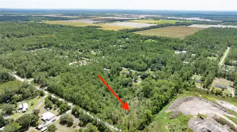5669 Mango Ave, Bunnell, FL 32110 photo 8