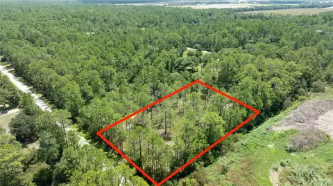5669 Mango Ave, Bunnell, FL 32110 photo 4