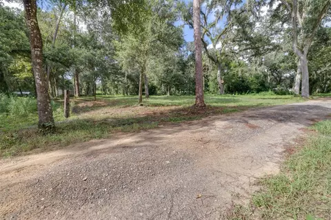 0 SE 124th Ave, Webster, FL 33597 photo 5