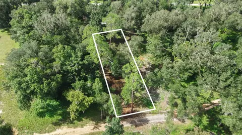 0 SE 124th Ave, Webster, FL 33597 photo 6