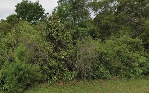 NE 236th Lane, Fort Mc Coy, FL 32134