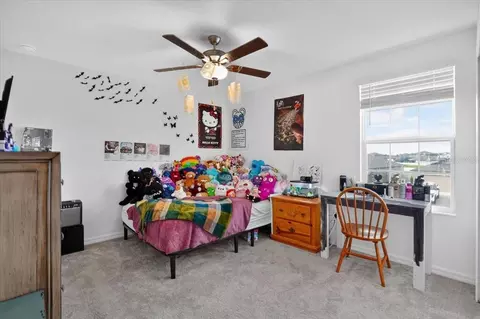 Bedroom - 12036 Blue Diamond Trl, Parrish, FL 34219 photo 4 of 5