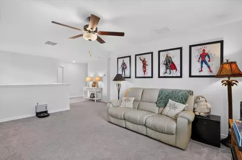 Entry Way - 12036 Blue Diamond Trl, Parrish, FL 34219 photo 3 of 4