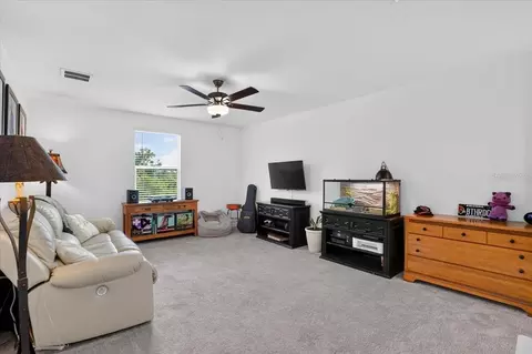 Other - 12036 Blue Diamond Trl, Parrish, FL 34219 photo 4 of 7