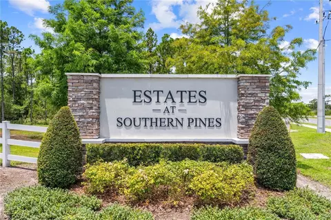 View/Area - 4250 Southern Vista Loop, Saint Cloud, FL 34772 photo 1 of 2