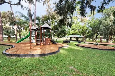 618 Ridgewood Dr, Windermere, FL 34786 photo 17