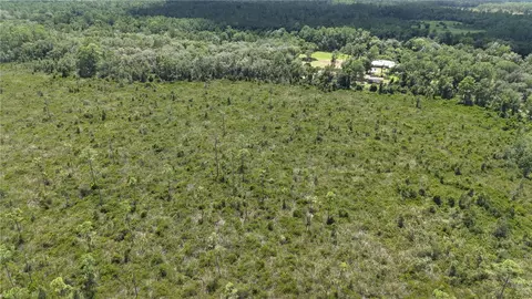 Crocus Ln, Hawthorne, FL 32640 photo 21