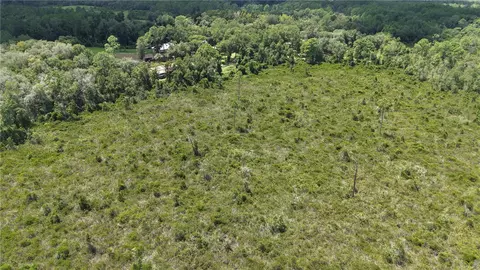 Crocus Ln, Hawthorne, FL 32640 photo 30