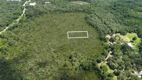 Crocus Ln, Hawthorne, FL 32640 photo 2