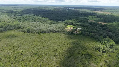 Crocus Ln, Hawthorne, FL 32640 photo 8