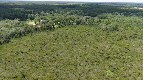 Crocus Ln, Hawthorne, FL 32640 photo 29