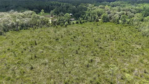 Crocus Ln, Hawthorne, FL 32640 photo 32