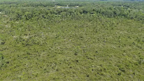 Crocus Ln, Hawthorne, FL 32640 photo 25