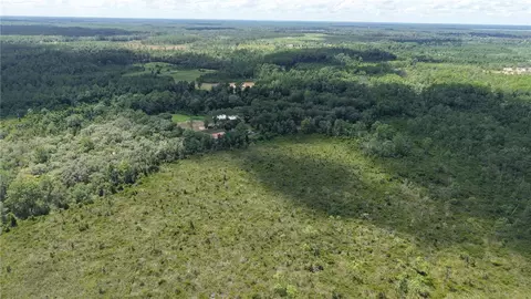 Crocus Ln, Hawthorne, FL 32640 photo 6