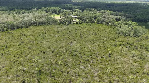 Crocus Ln, Hawthorne, FL 32640 photo 20