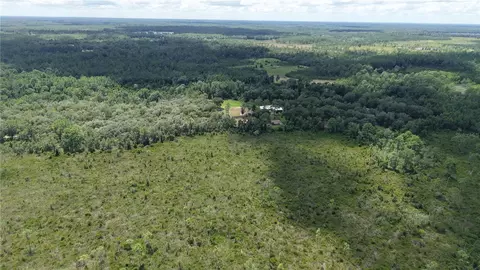 Crocus Ln, Hawthorne, FL 32640 photo 7