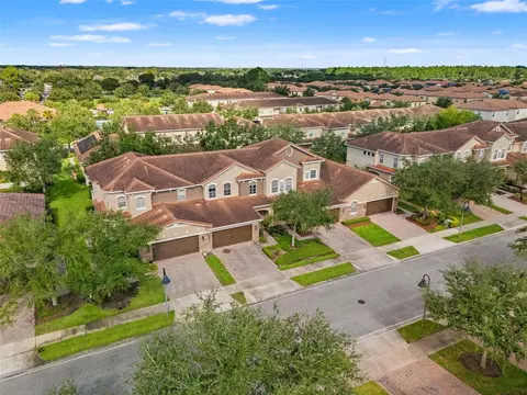 View/Area - 2137 Velvet Leaf Dr, Ocoee, FL 34761 photo 8 of 14