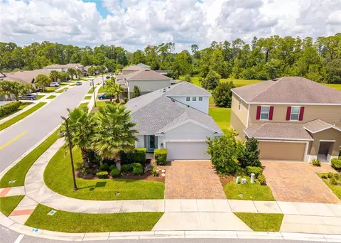 View/Area - 17136 Goldcrest Loop, Clermont, FL 34714 photo 7 of 17