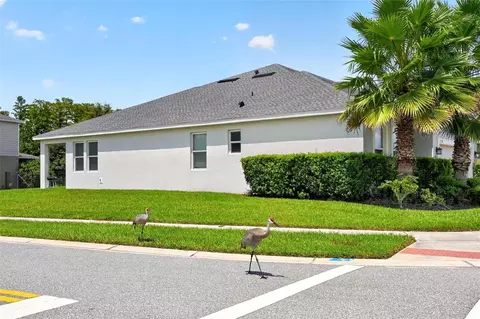 Other - 17136 Goldcrest Loop, Clermont, FL 34714 photo 7 of 8