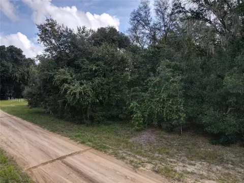Gunner Ave, Interlachen, FL 32148 photo 24