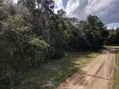 Gunner Ave, Interlachen, FL 32148 photo 23