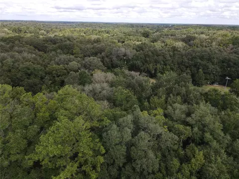 Gunner Ave, Interlachen, FL 32148 photo 6
