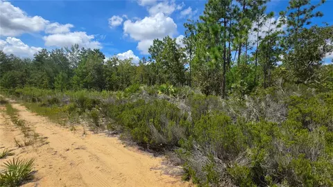 Trenton St, Interlachen, FL 32148 photo 22