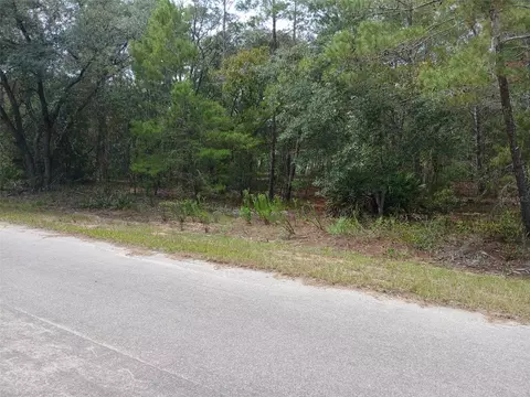 SE Fisher Course, Ocklawaha, FL 32179