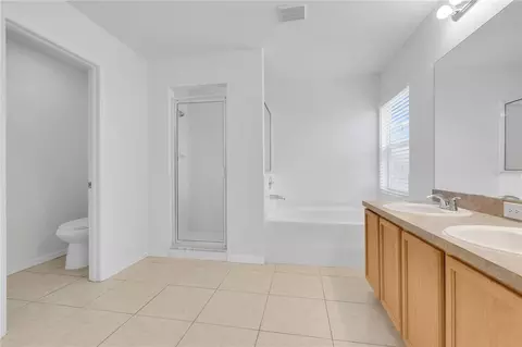 Bath - 12613 Longcrest Dr, Riverview, FL 33579 photo 2 of 3