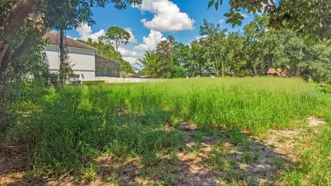 Dingens Avenue, Windermere, FL 34786 photo 8