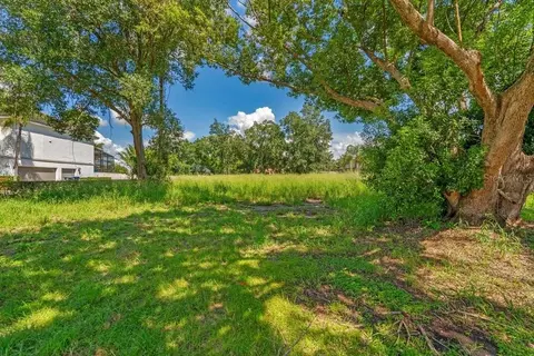 Dingens Avenue, Windermere, FL 34786 photo 4
