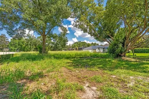 Dingens Avenue, Windermere, FL 34786 photo 3