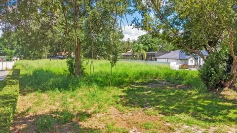 Dingens Avenue, Windermere, FL 34786 photo 6