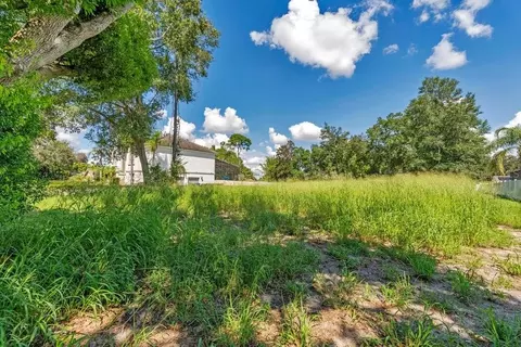Dingens Avenue, Windermere, FL 34786 photo 2
