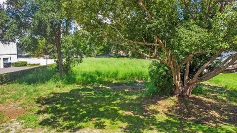 Dingens Avenue, Windermere, FL 34786 photo 5