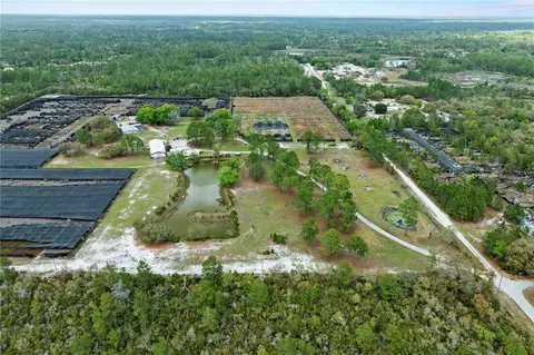 40945 Beach Rd, Eustis, FL 32736 photo 10