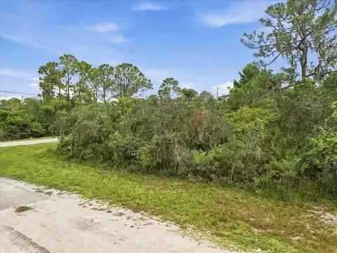 213 Marlin St NW, Lake Placid, FL 33852