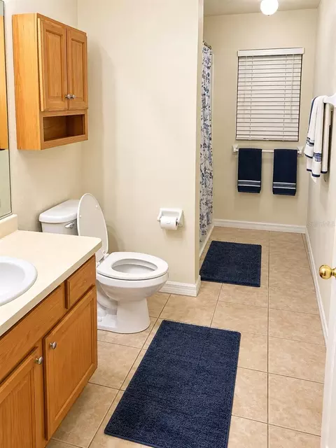 Bath - 24107 Milford Dr, Eustis, FL 32736 photo 3 of 3