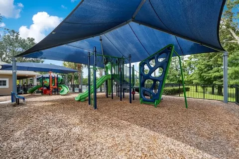 View/Area - 13324 Jervey St, Windermere, FL 34786 photo 9 of 9