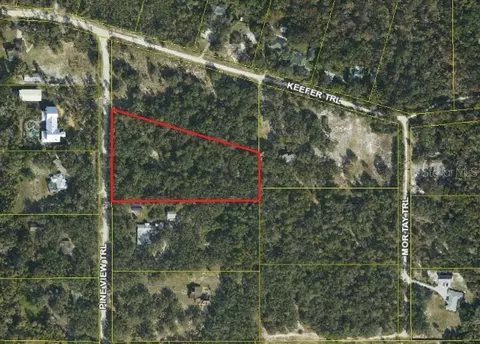 465 Pine View Trl, Kissimmee, FL 34747